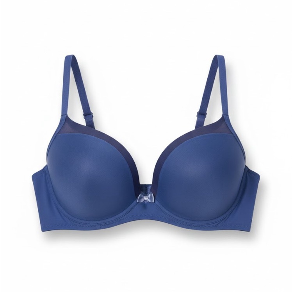 Warner's Classic Blue Bra